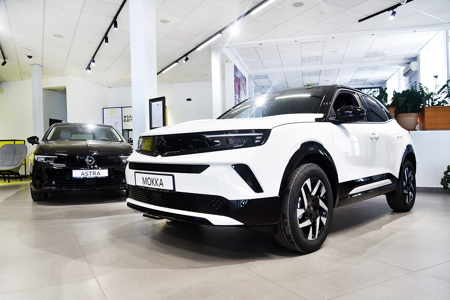 4-Stojanov-doo-Opel-Novi-Sad